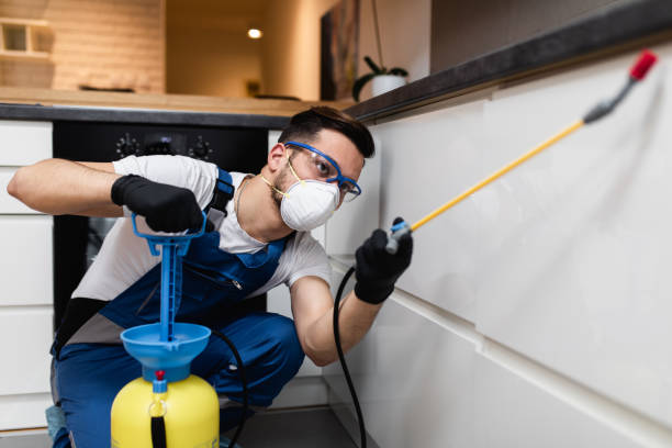 Best Residential Pest Control  in White Rock, NM