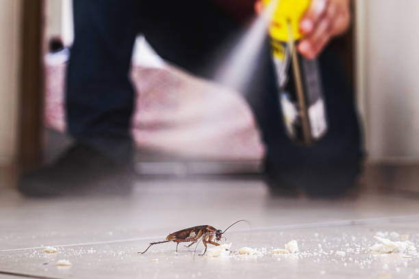 Best Mosquito Control Services  in White Rock, NM